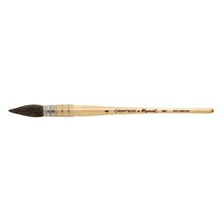 Caran d-Ache Petit Gris 1 Stück(e)