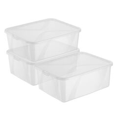 Rotho 1164300096WS Aufbewahrungsbox Rechteckig Polypropylen (PP) Transparent