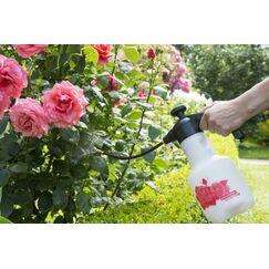 Birchmeier Rose Star 1.25 Handgartenspritzer 1,25 l