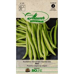 Samen Mauser 12013604 Gemüsesamen Beans 1 Stück(e)