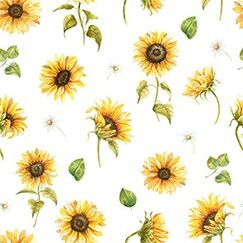 Braun + Company At. Sunflower blanc de blanc Servietten 33x33cm 20er Pg