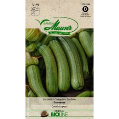 Samen Mauser BIO Zucchetti Genovese