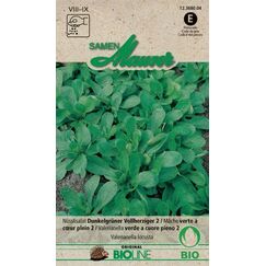 Samen Mauser 12368004 Gemüsesamen Grüner Salat