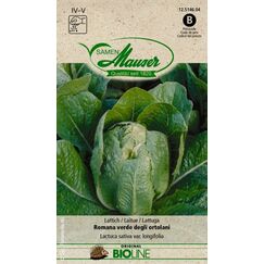 Samen Mauser BIO Lattich Romana verde degli ortolani