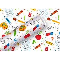 Braun + Company Geschenkpapier 2mx70cm, Schule