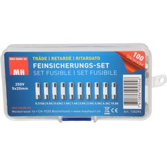 Max Hauri AG Cable Home 135395 Schmelzsicherung Standard 10 A 100 Stück(e)