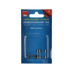 Max Hauri AG 137846 Schmelzsicherung Standard 10 A 5 Stück(e)