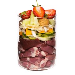 Terra Canis Ente mit Kürbis, Erdbeere und Holunder