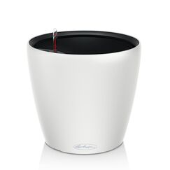LECHUZA CLASSICO Color LS 21 Drinnen/Draußen Dosen-Pflanzer Freistehend Kunststoff Weiß, Farbe: Weiß