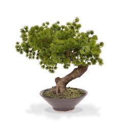 Botanic-Haus 150104 Künstliche Pflanze Drinnen/Draußen Künstlicher Baum