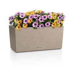 LECHUZA BALCONERA Stone 40 Drinnen/Draußen Pflanzgefäß Freistehend Kunststoff Beige, Sand