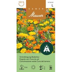 Samen Mauser 15716202 Blumensamen/-zwiebel Ringelblume, Marigold