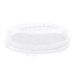 Rotho Fresh Kuchenbehälter Rund Polypropylen (PP) Transparent, Weiß