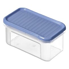 Rotho DOMINO Rechteckig Container 0,5 l Blau, Transparent 1 Stück(e)