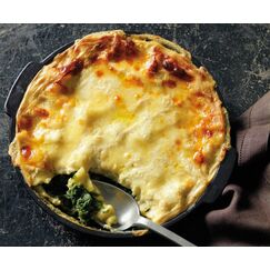 OUTDOORCHEF 18.211.71* Topf