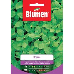 Blumen 19003004 Gemüsesamen Oregano