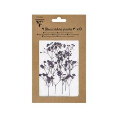 Clairefontaine Trockenblumen Lavendel