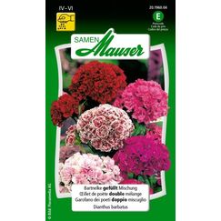 Samen Mauser 20196004 Blumensamen/-zwiebel Dianthus barbatus