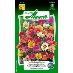 Samen Mauser 20444004 Blumensamen/-zwiebel Portulaca grandiflora