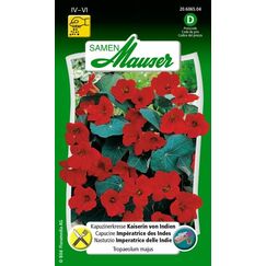 Samen Mauser 20606504 Blumensamen/-zwiebel Tropaeolum majus