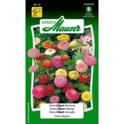 Samen Mauser 20662904 Blumensamen/-zwiebel Hardy Annual Zinnia elegans