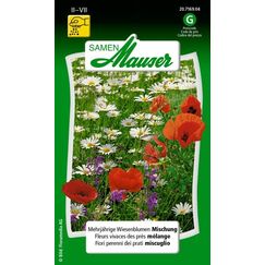 Samen Mauser 20716904 Blumensamen/-zwiebel