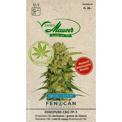 Samen Mauser 20836004 Kräutersamen Cannabis-Samen