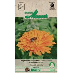Samen Mauser Ringelblume Orange Marigold