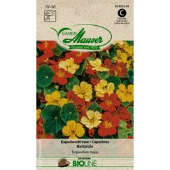 Samen Mauser 20852204 Blumensamen/-zwiebel Kapuzinerkresse