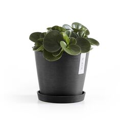 Ecopots Saucer Round Pflanzenwagen