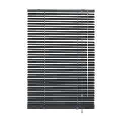 Gardinia Home Decor 23-3151 Jalousien/Rollos Manuell Slatted Plissee-Rollo Anthrazit, Grau