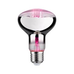 Paulmann Leuchtmittel LED PLANT E27 R80 1x LED E27 6.5W 200lm 1300K, Nicht Dimmbar