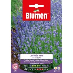 Blumen Lavendel Blumensamen ein- und mehrjährig