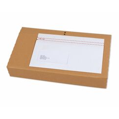 Elco 29213.00 Briefumschlag Weiß 250 Stück(e)