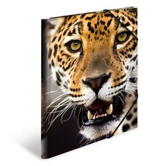 HERMA Sammelmappe A4 PP - Leopard