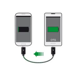 DeLOCK 83570 USB Kabel USB 2.0 0,3 m USB B Schwarz