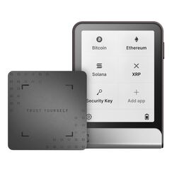 Ledger Flex Grau, Farbe: Grau