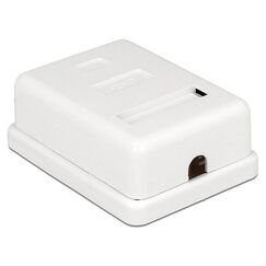 DeLOCK 86169 Steckdose RJ-45 Weiß
