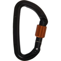 Wild Country 40-0000001000-0965-3 Karabinerhaken zum Klettern Verschlusskarabiner D-förmig Schwarz, Kupfer 1 Stück(e)