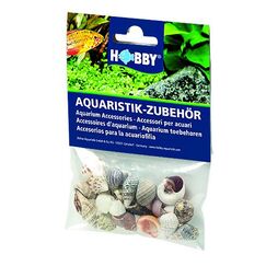 HOBBY Aquaristik Sea Shells Set S Gemischte Farben 20 Stück(e)