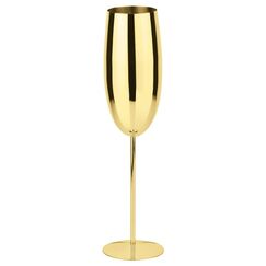 Paderno 41493G00 Sektglas 1 Stück(e) 270 ml Champagnerflöte