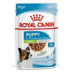 Royal Canin Labrador Retriever Adult