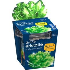 Kosmos 47855770 Wissenschafts-Bausatz & -Spielzeug für Kinder