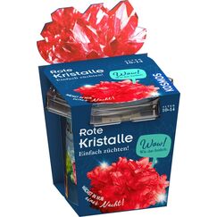 Kosmos 47855821 Wissenschafts-Bausatz & -Spielzeug für Kinder