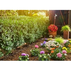 Gardena Micro-Drip-System Starter Set randen S 13010-20
