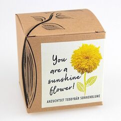 Naturkraftwerke Teddybär Sonnenblume Blumensamen ein- und mehrjährig