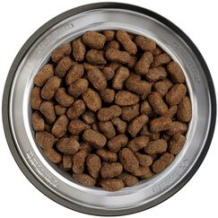 Belcando Adult GF Beef 12,5 kg Rind