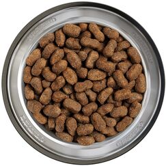 Belcando 557825 Hunde-Trockenfutter 12,5 kg Adult Lamm, Reis