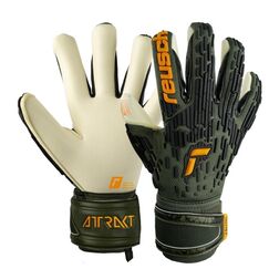 Reusch Attrakt Freegel Gold X