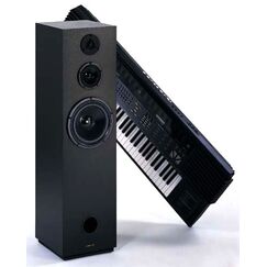 Visaton STARLET Kit Schwarz 100 W